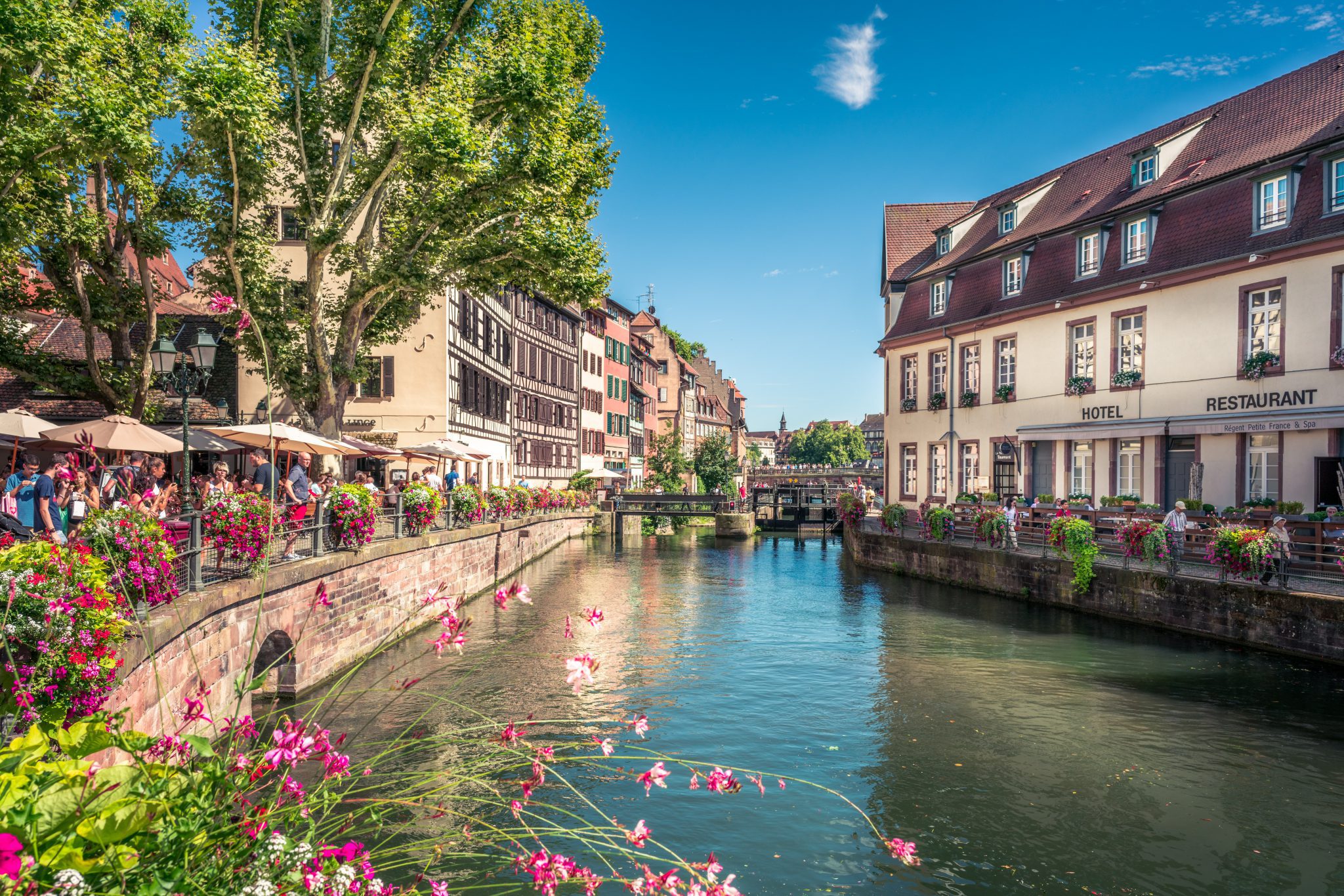 Strasbourg en fleurs