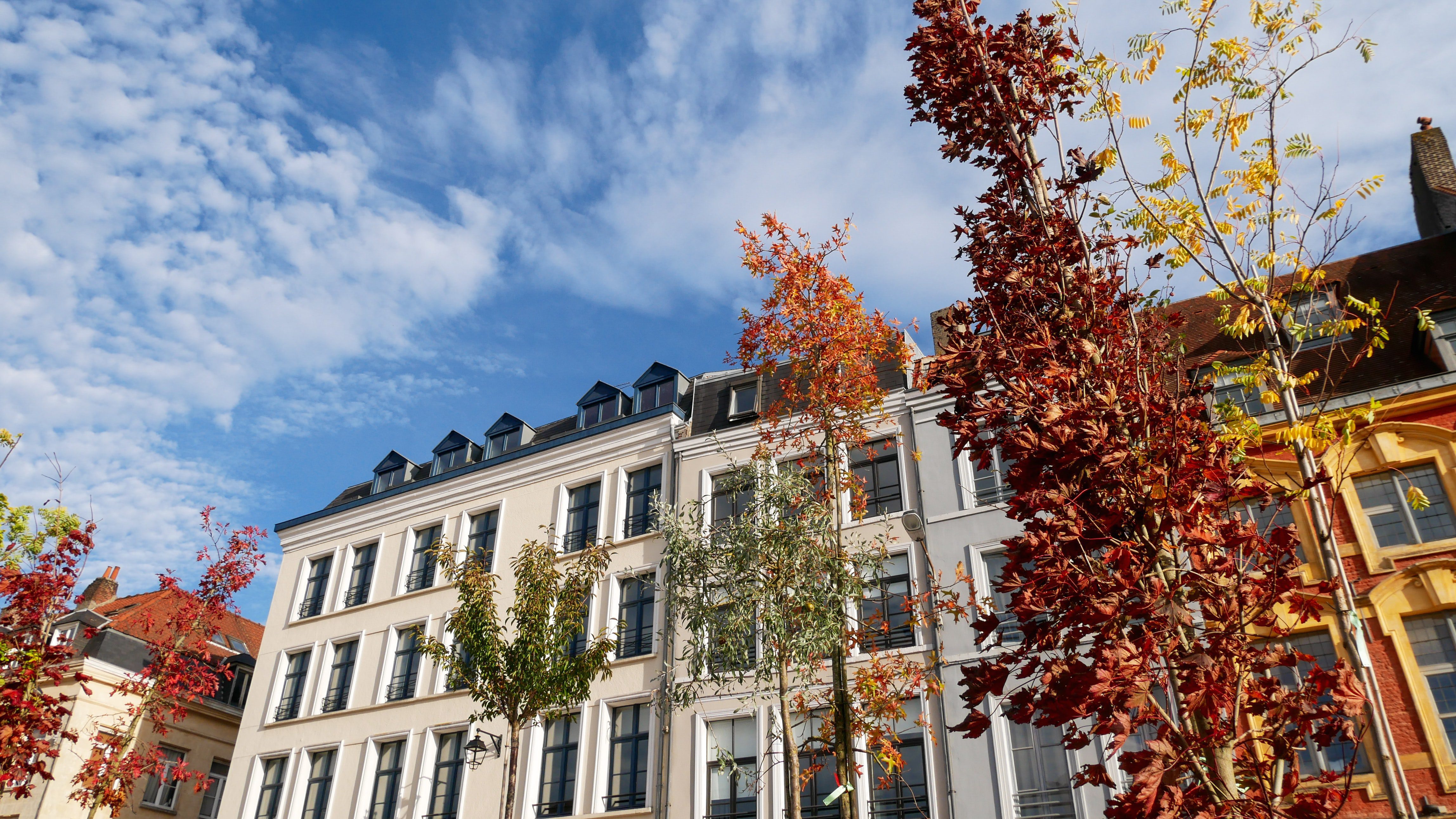 buildings in Toulouse