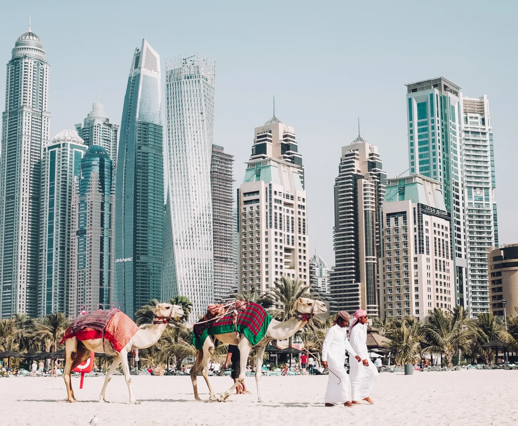 Camels walking along a Dubai beach with modern skyscrapers in the background - dubai in september